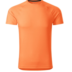 Destiny Tričko pánske